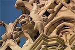 Gargoyles on Notre Dame Cathedral, Paris, France, Europe