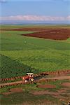 Tractor and fields near Diyarbakir in Kurdistan, Anatolia, Turkey, Asia Minor, Eurasia