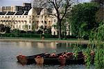 Boats on the lake, Regents Park, London, England, United Kingdom, Europe