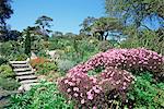 Abbey Gardens, Tresco, Scilly-Inseln, Großbritannien, Europa