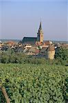 Bergheim und Weinbergen, Alsace, Frankreich, Europa