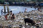 Children and pigs foraging on rubbish strewn beach, Dominican Republic, West Indies, Central America