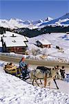 Horse drawn sleigh at ski resort, Arosa, Graubunden region, Swiss Alps, Switzerland, Europe