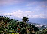 Mount Teide, Tenerife, Canary Islands, Spain, Atlantic, Europe