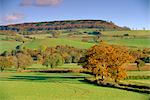 Landschaft im Herbst in Otter Valley, Devon, England, Großbritannien