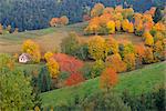 The Vosges, Alsace-Lorraine, France, Europe