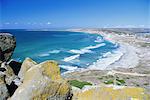 Tharros beach, Oristano, Sardinia, Italy, Europe