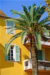 Yellow house and palm tree, Villefranche sur Mer, Cote d'Azur, Provence, France, Europe