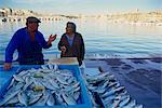 Fischmarkt, Vieux Port, Marseille, Provence, Frankreich, Mittelmeer, Europa