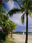 Pelangi Beach, île de Langkawi, en Malaisie, Asie