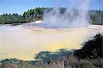 Champagne Pools steaming, Waiotapu thermal reserves, Rotorua, South Auckland, North Island, New Zealand, Pacific