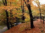 Breezy autumn day by the River Brathay footbridge, Skelwith Bridge, Cumbria, England, United Kingdom, Europe