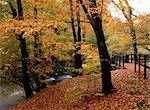 Jour d'automne venteux de la passerelle de la rivière Brathay, pont Skelwith, Cumbria, Angleterre, Royaume-Uni, Europe