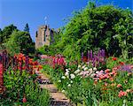 Herbaceous borders in the gardens, Crathes Castle, Grampian, Scotland, United Kingdom, Europe