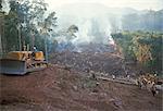 Clearing forest for building of the Forest Edge highway in high jungle region of Tarapoto, Peru, South america