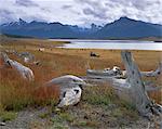 Lac Roca, réserve nationale de Calafate Roca, en Patagonie, en Argentine, Amérique du Sud