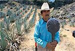 Tequila plantation worker, Mexico, North America