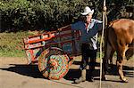 Man with decortated ox cart, Central Highlands, Costa Rica, Central America