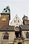 Wawel Cathedral, Royal Castle area, Krakow (Cracow), UNESCO World Heritage Site, Poland, Europe