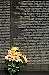 Vietnam Veterans Memorial Wall in Washington D.C. (District Of Columbia), Vereinigte Staaten von Amerika, Nordamerika