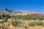 Red Rock Canyon, montagnes de printemps, 15 km à l'ouest de Las Vegas dans le désert de Mojave, Nevada, États-Unis d'Amérique