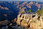 Den südlichen Rand des den Grand Canyon, Arizona, Vereinigte Staaten von Amerika