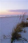 Sunset, Bradenton Beach, Anna Maria Island, Gulf Coast, Florida, United States of America (U.S.A.), North America