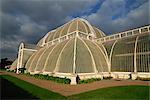 Außen das Palmenhaus, den Royal Botanic Gardens in Kew (Kew Gardens), UNESCO Weltkulturerbe, London, England, Vereinigtes Königreich, Europa