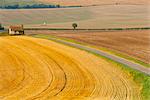 Old Winchester Hill, Hampshire, England