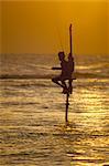 Stilt fisherman (pole fisherman), Sri Lanka, Asia