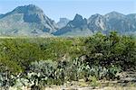 Big Bend National Park, Texas, États-Unis d'Amérique, l'Amérique du Nord