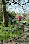 St. James's Park, London, England, Großbritannien, Europa