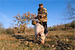 Truffle producer with pig searching for truffles in January, near Lalbenque, Quercy region, Lot, France, Europe