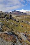 Moss covered lava beds surround Snaefellsjokull, an active strato volcano capped in snow and ice, on the Snaefellsnes Peninsula, North West area, Iceland, Polar Regions