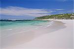 Plage de balles, Kangaroo Island, Seal Bay con Park, Australie-méridionale, Australie