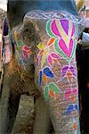 Decorated elephant at the Amber fort, Jaipur, Rajasthan state, India, Asia