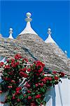 Alberobello, typical houses, Apulia (Puglia), Italy