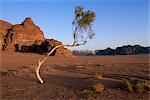 Désert paysage, Wadi Rum, Jordanie, Moyen-Orient