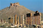 Grand chemin colonnade et le château arabe, Palmyre, UNESCO World Heritage Site, Syrie, Moyen-Orient