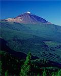 Gipfel von Mount Teide und Kiefer Bäume aus Mirador Ortuno, Parque Nacional del Teide, Teneriffa, Kanarische Inseln, Spanien, Europa