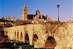 The Roman bridge and city from the Tormes River, Salamanca, Castilla Leon, Spain, Europe