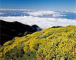 Landscape and clouds near Roque de los Muchachos, Parque Nacional de la Caldera de Taburiente, La Palma, Canary Islands, Spain, Europe