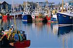 Port de la pêche de Howth, baie de Dublin, Irlande