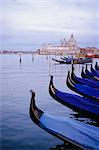 Gondolas, Venice, Veneto, Italy (Grainy)