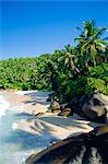 Beach, Seychelles