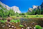 Yosemite National Park, California, United States of America