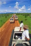 Minibus Safari, Tsavo National Park, Kenya