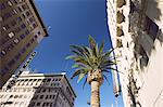 Buildings at Hollywood and Vine, Los Angeles, California, United States of America, North America