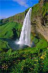 Seljalandsfoss waterfall in the south of the island, Iceland