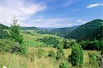 Paysages de la vallée village de Biela, Mala Fatra montagnes, Slovaquie, Europe